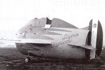 Caproni_Stipa_on_ground.jpg