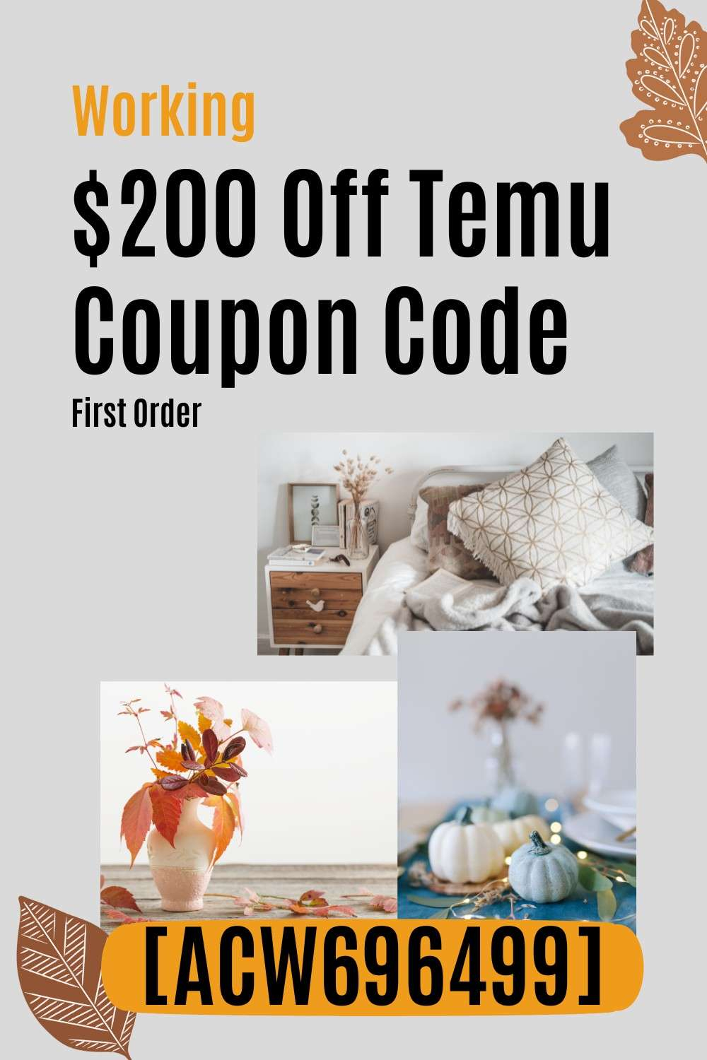 working-200-off-temu-coupon-code-first-order1000x1500p.jpeg
