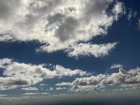 IMG_5751.jpeg